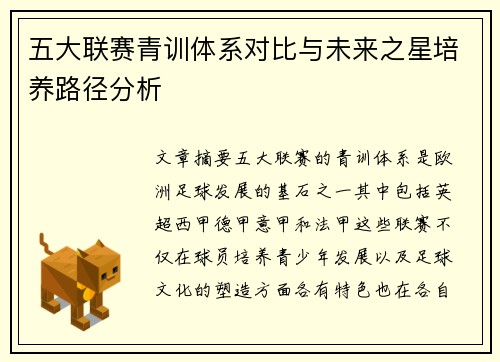 五大联赛青训体系对比与未来之星培养路径分析